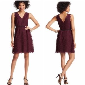 Loft Scalloped Sleeveless Lace Dress Burgundy NWOT Size 6